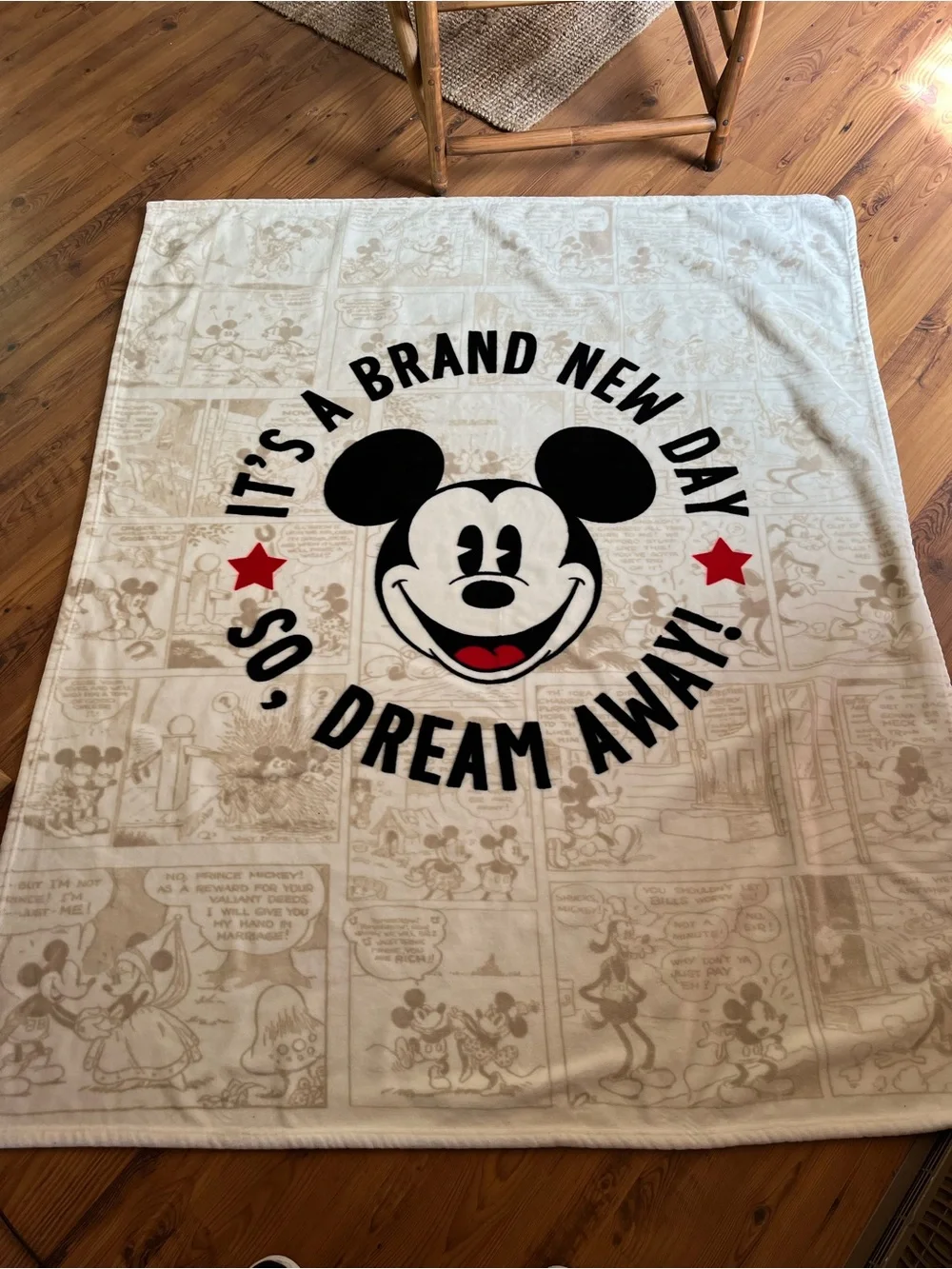 Disney Blanket